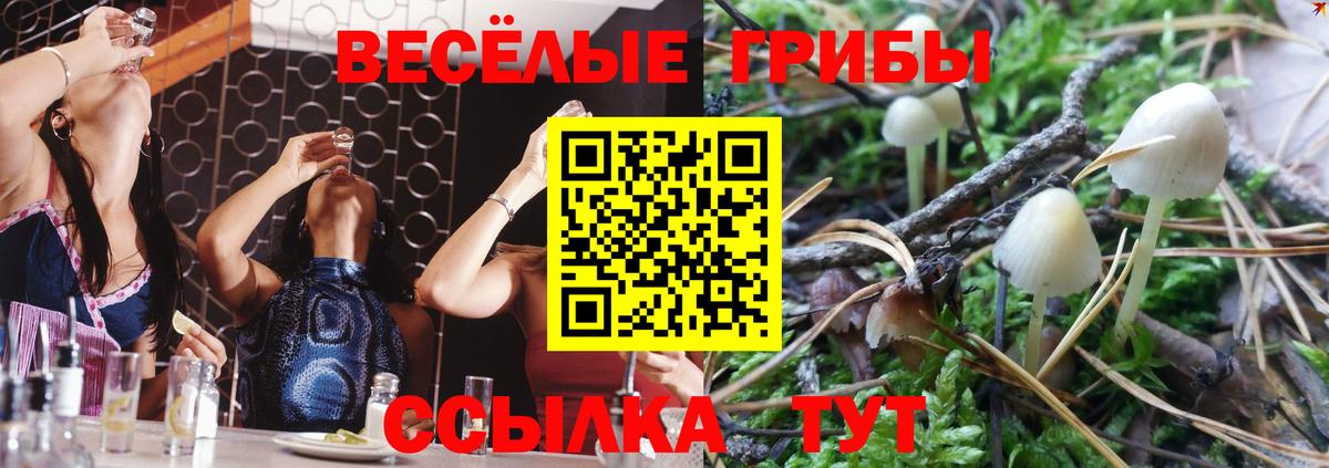 Псилоцибиновые грибы ЛСД Северобайкальск